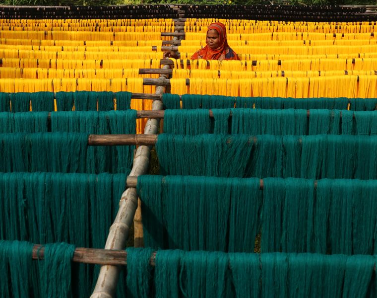 Hanks of freshly dyed teal and yellow yarn drying on bamboo poles