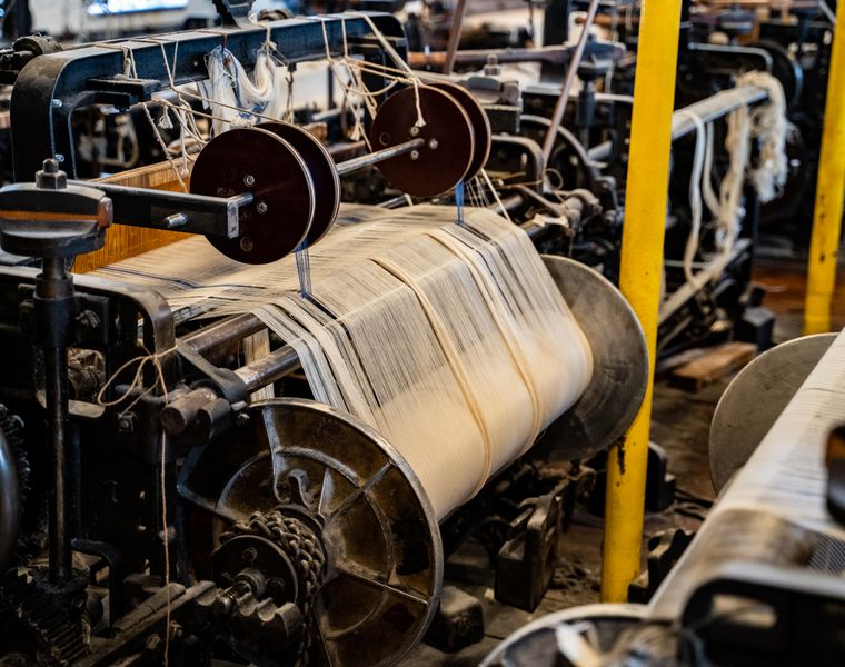 Cream cotton warp yarns running from the beam through a loom